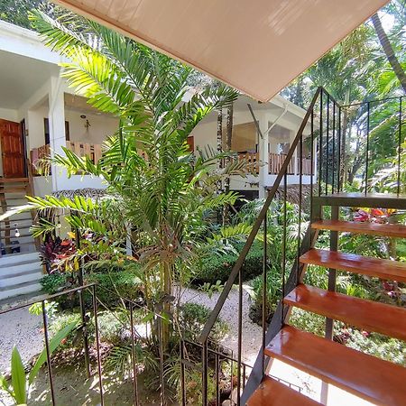 Colibri Apartments - 4 Min Walk To The Beach! Playa Santa Teresa  Exterior photo