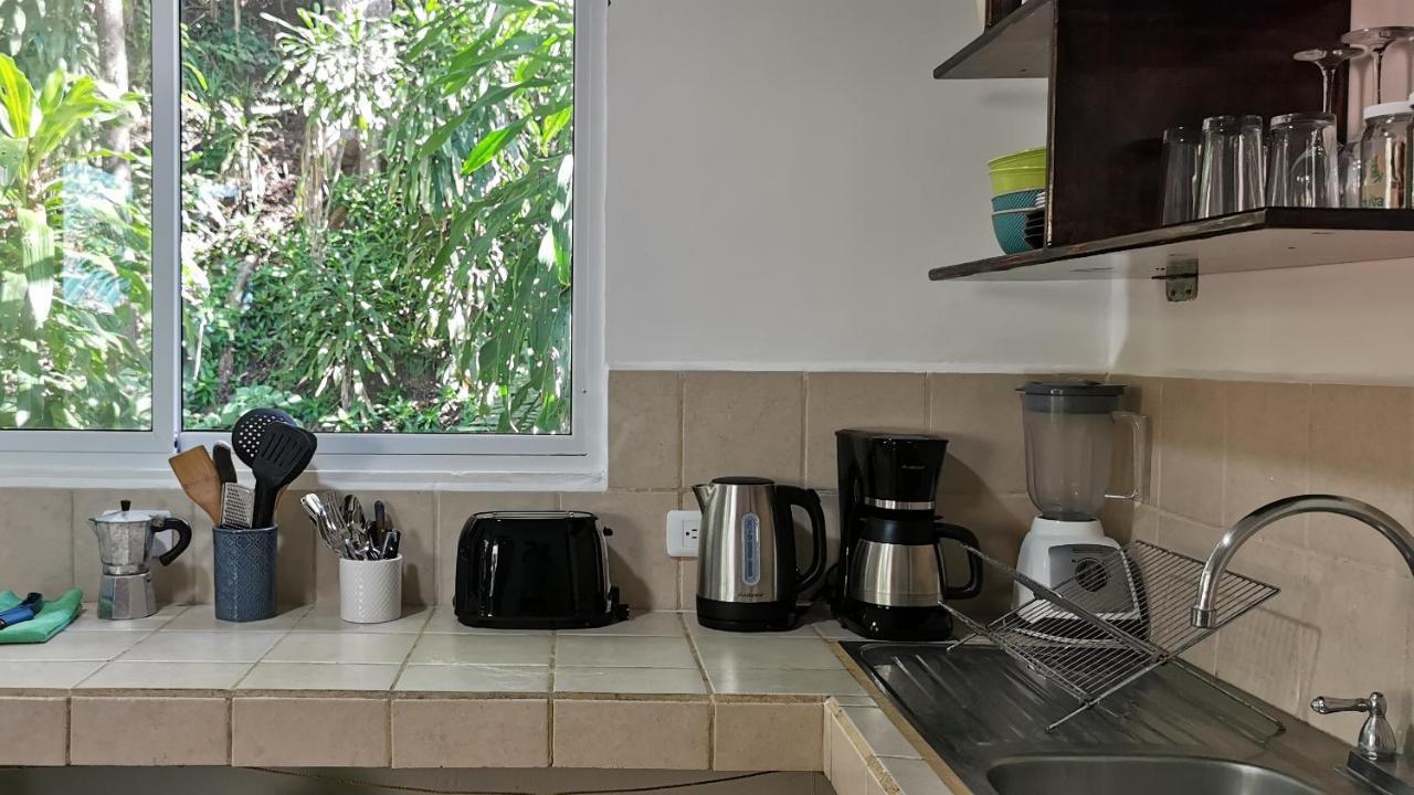 Colibri Apartments - 4 Min Walk To The Beach! Playa Santa Teresa  Exterior photo