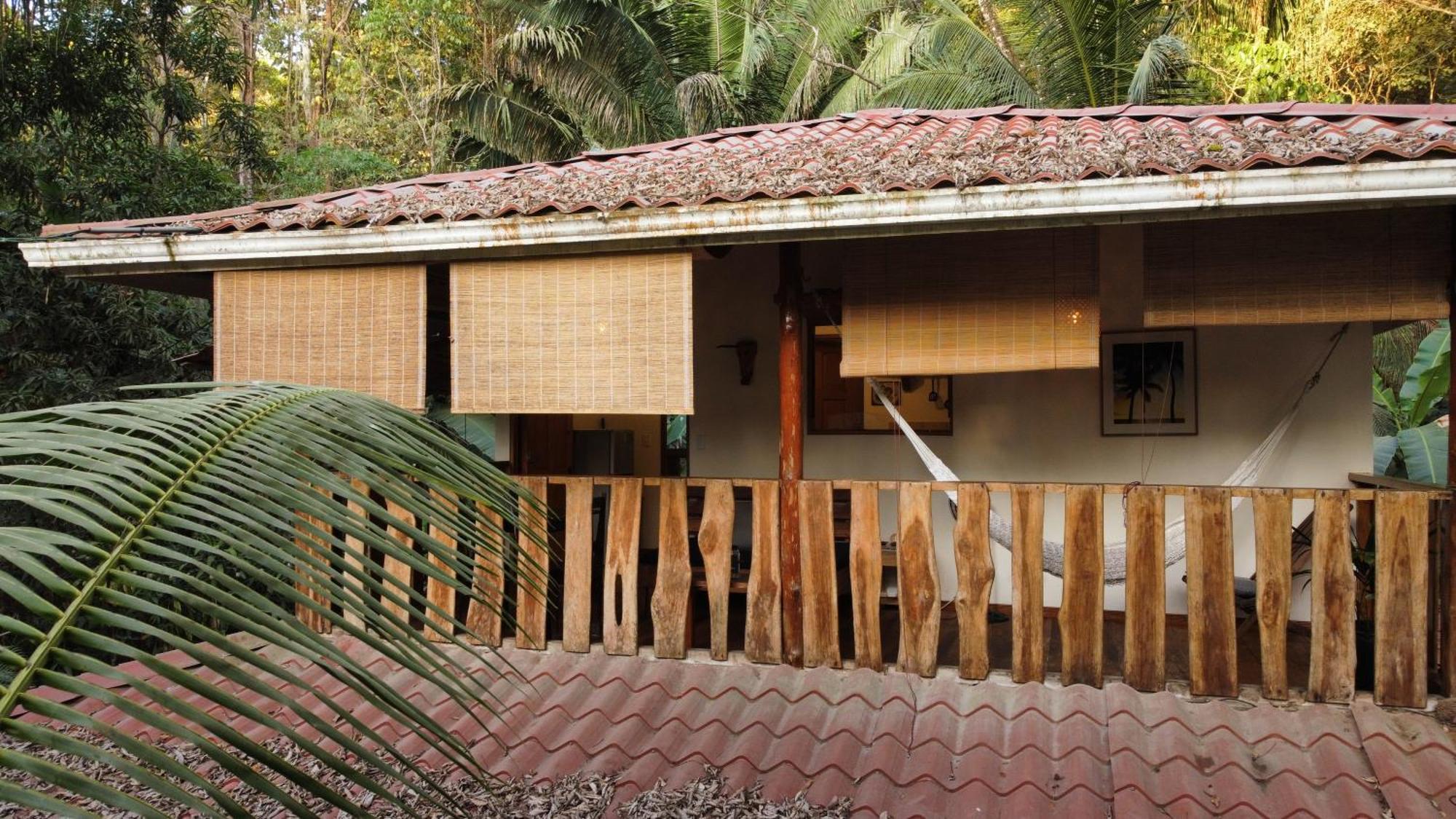 Colibri Apartments - 4 Min Walk To The Beach! Playa Santa Teresa  Room photo