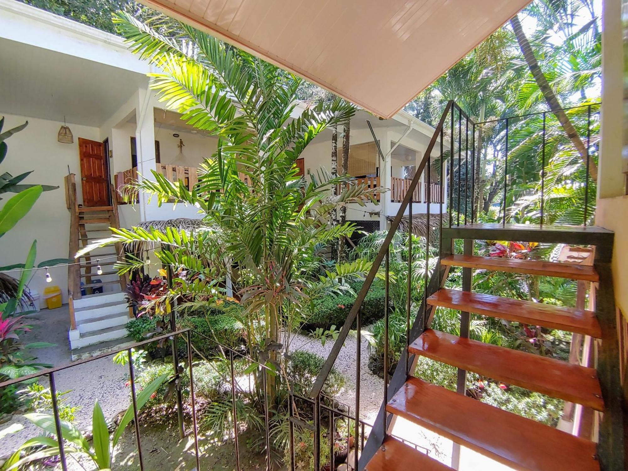Colibri Apartments - 4 Min Walk To The Beach! Playa Santa Teresa  Exterior photo
